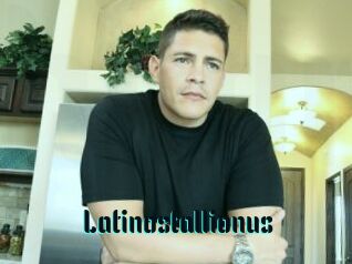 Latinostallionus