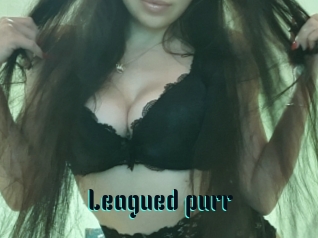 Leagued_purr