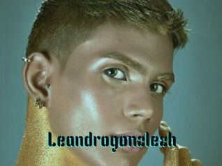 Leandrogonzlezh