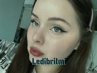 Ledibritmi