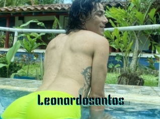 Leonardosantos