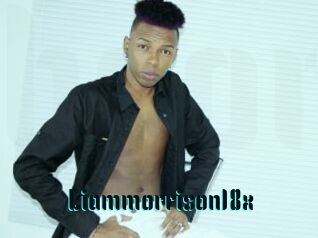 Liammorrison18x