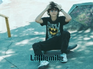 Liittlemike