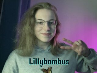 Lillybambus