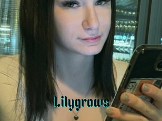 Lilygrows