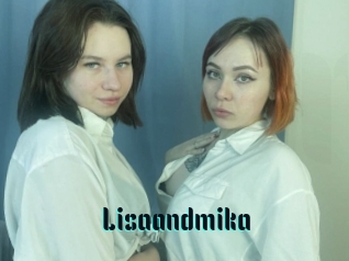 Lisaandmika