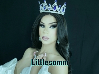 Littlesamm