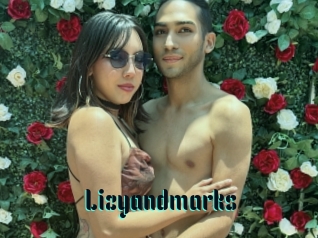 Lizyandmarks