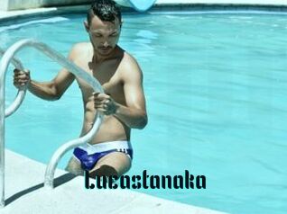 Lucastanaka