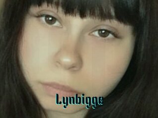 Lynbigge