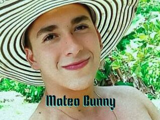 Mateo_Bunny