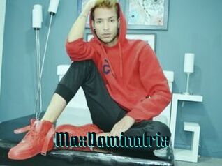 MaxDominatrix