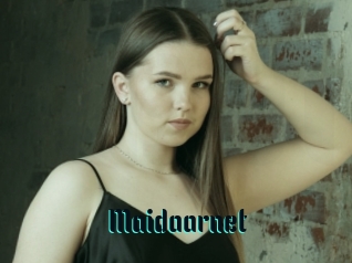 Maidaarnet