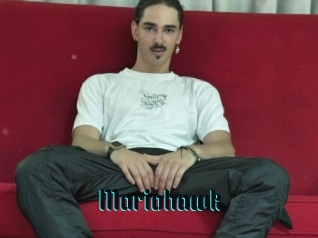 Mariohawk