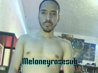 Melaneyrosesub