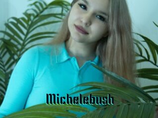 Michelebush