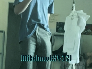 Mikehawk54321