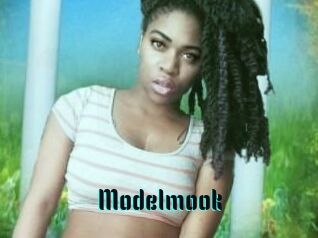 Modelmook