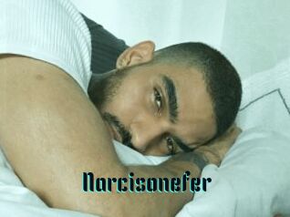 Narcisonefer
