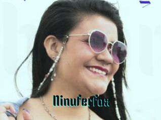 Ninuferfox