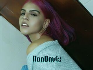 NoaDavis