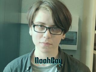 NoahBoy