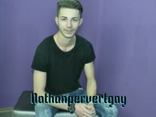 Nathanpervertgay