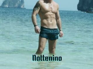 Nattenino