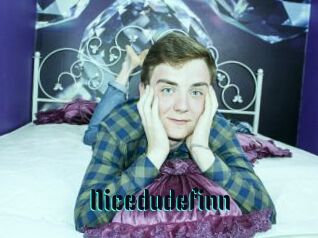 Nicedudefinn