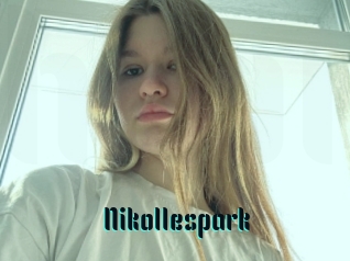 Nikollespark