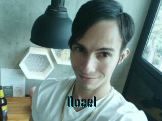 Nozel