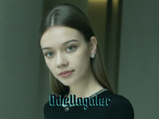 Odellagaler