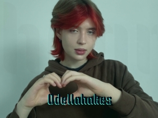 Odellahakes