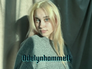 Odelynhammett