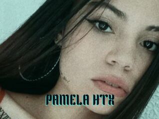 PAMELA_HTX