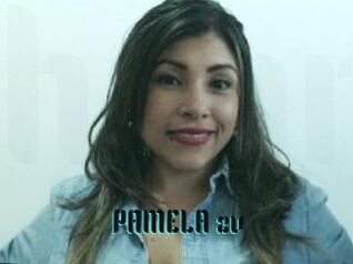PAMELA_zv