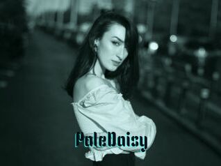 PaleDaisy