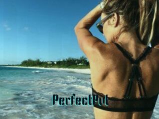 Perfect_Pvt_