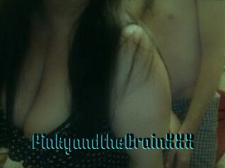 PinkyandtheBrainXXX