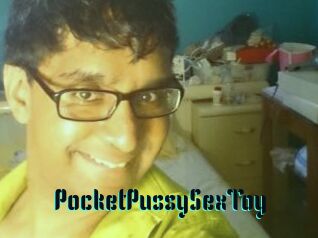PocketPussySexToy