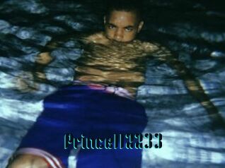 Prince112233