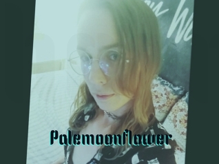 Palemoonflower