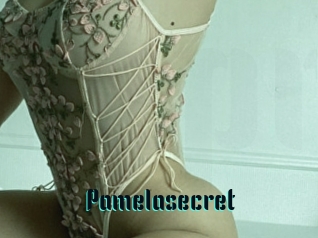 Pamelasecret