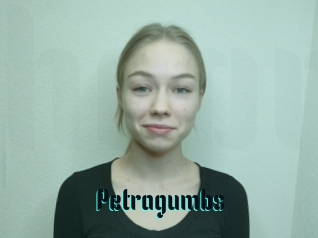 Petragumbs