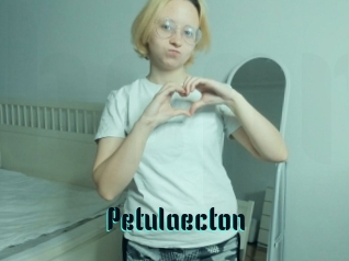 Petulaecton