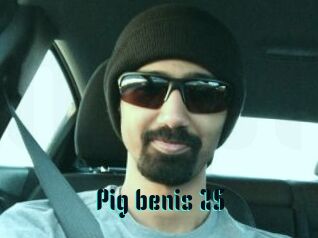 Pig_benis_25