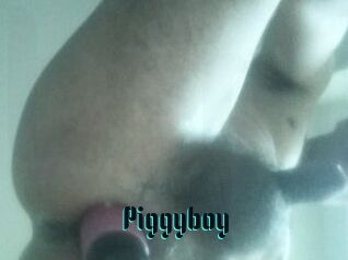 Piggyboy