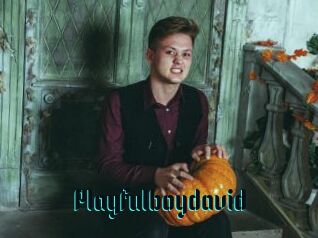 Playfulboydavid