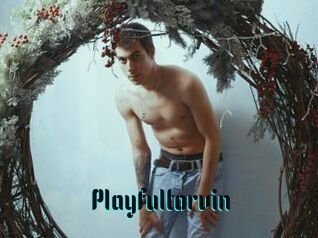 Playfultorvin