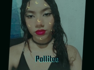 Pollitoo